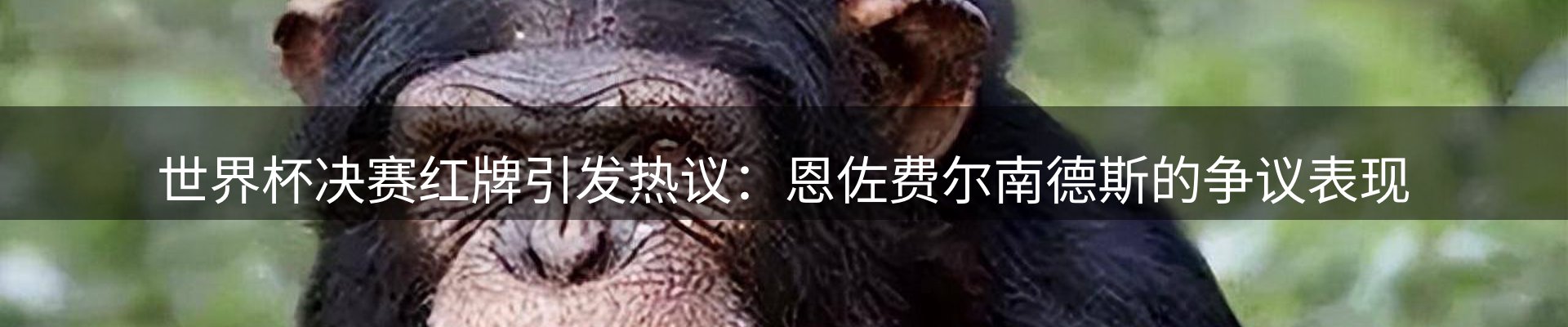平台资讯