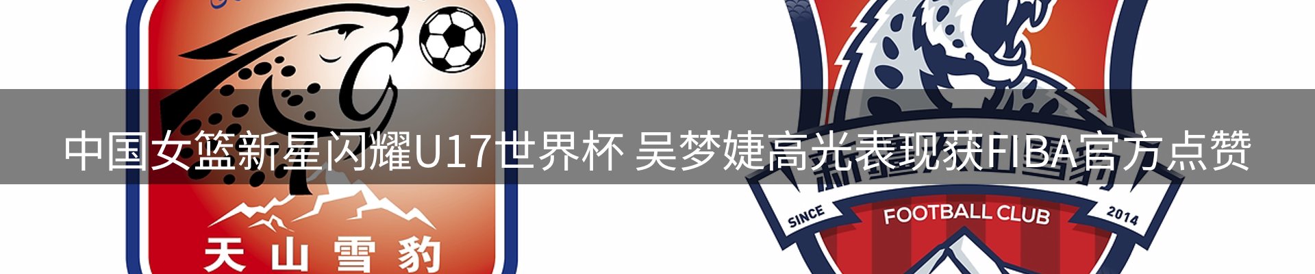 平台资讯