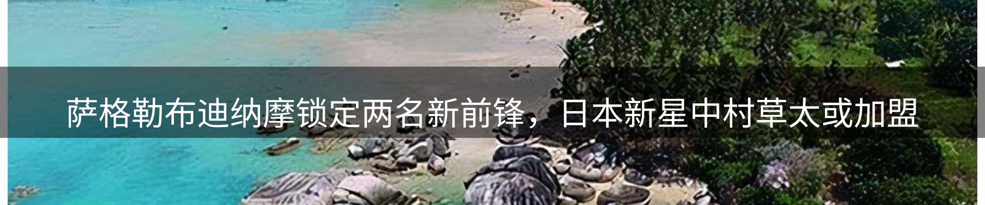平台资讯