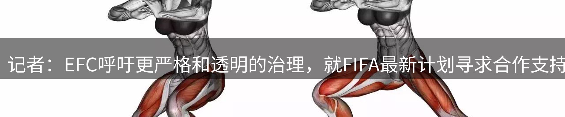 平台资讯