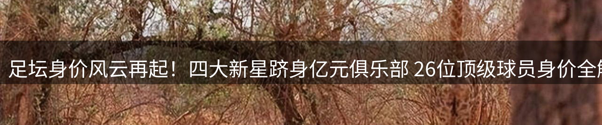 平台资讯